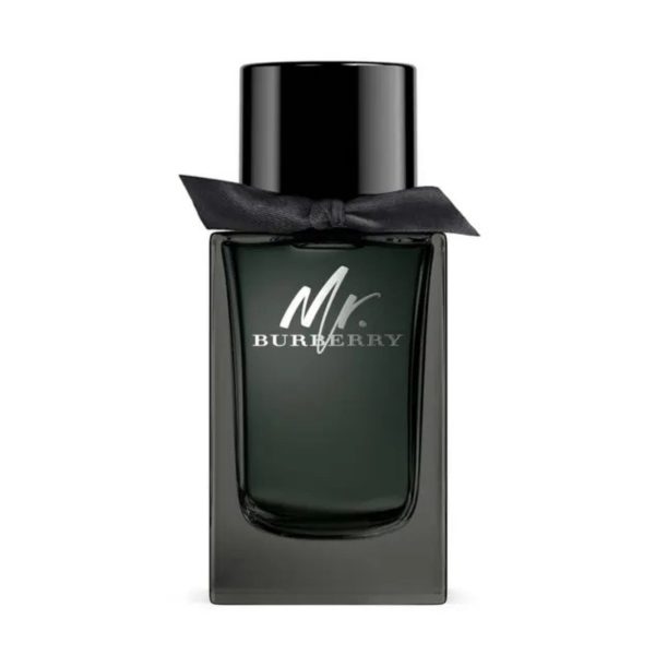 Burberry Mr. Burberry EDP For Men 100ML