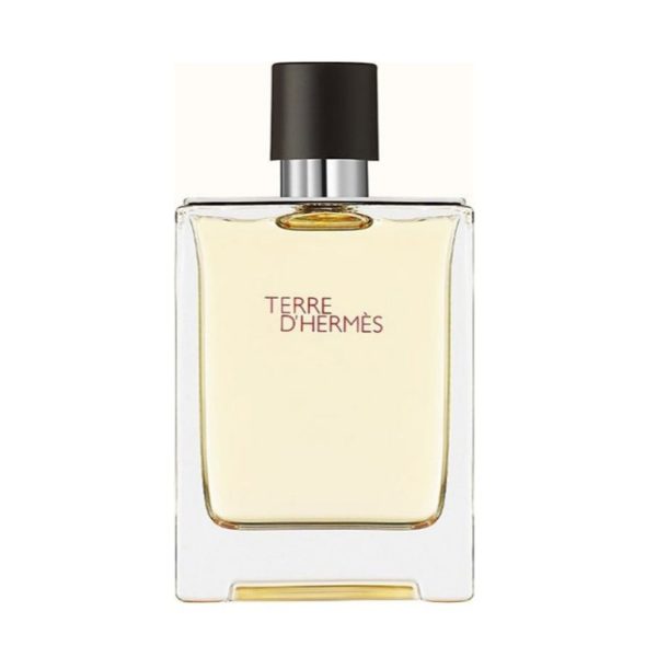 Hermes Terre D'Hermes EDT For Men 100ML