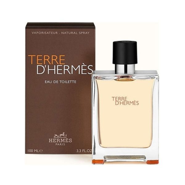 Hermes Terre D'Hermes EDT For Men 100ML - Image 2