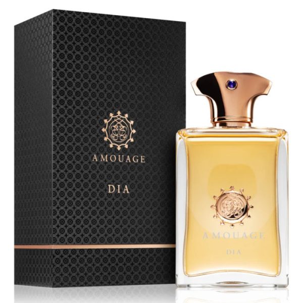 Amouage Dia For Men Eau E Parfum 100ml (New Packing) - Image 2